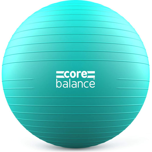 Exercise Ball for Workouts, Anti-Burst and Slip Resistant, Swiss Yoga Ball for Pregnancy