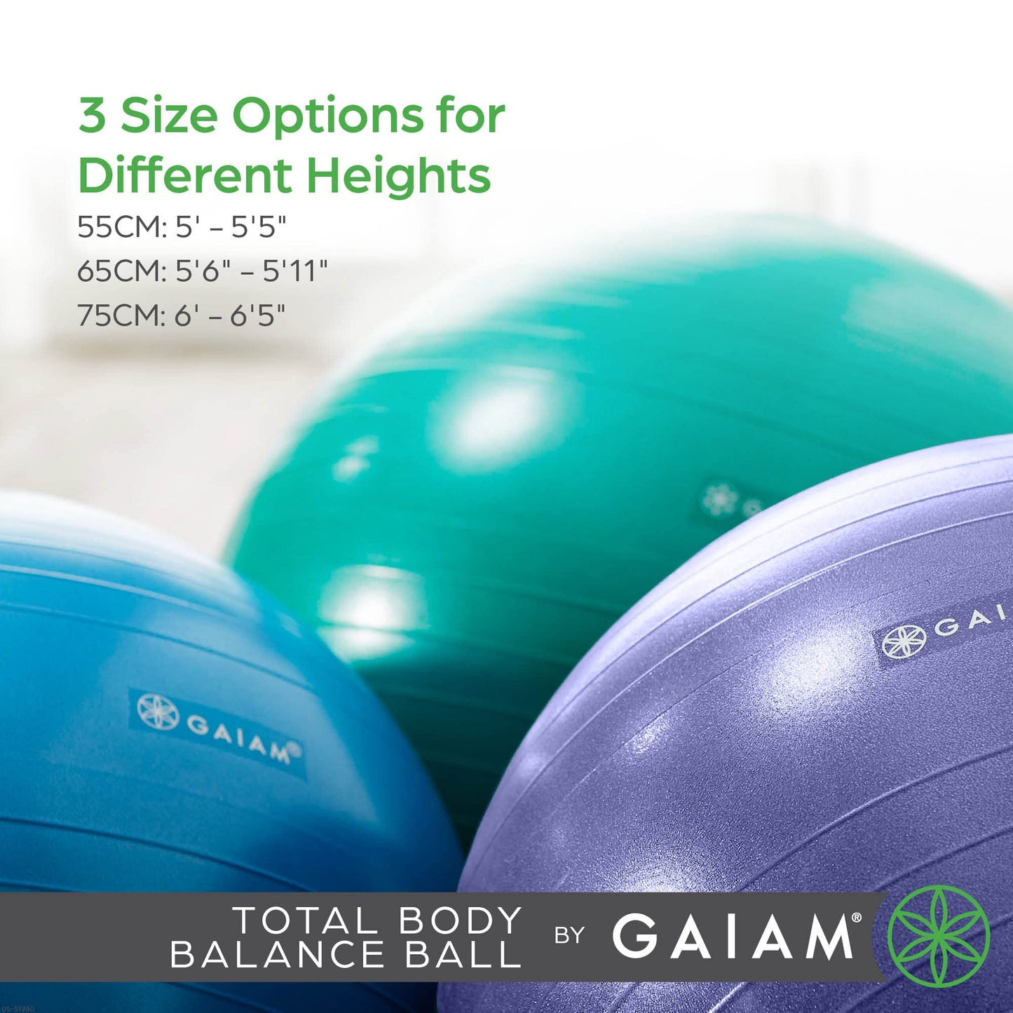 Gaiam 05-51982 Total Body Balance Ball Kit - Includes 65cm Anti-Burst Stabilit