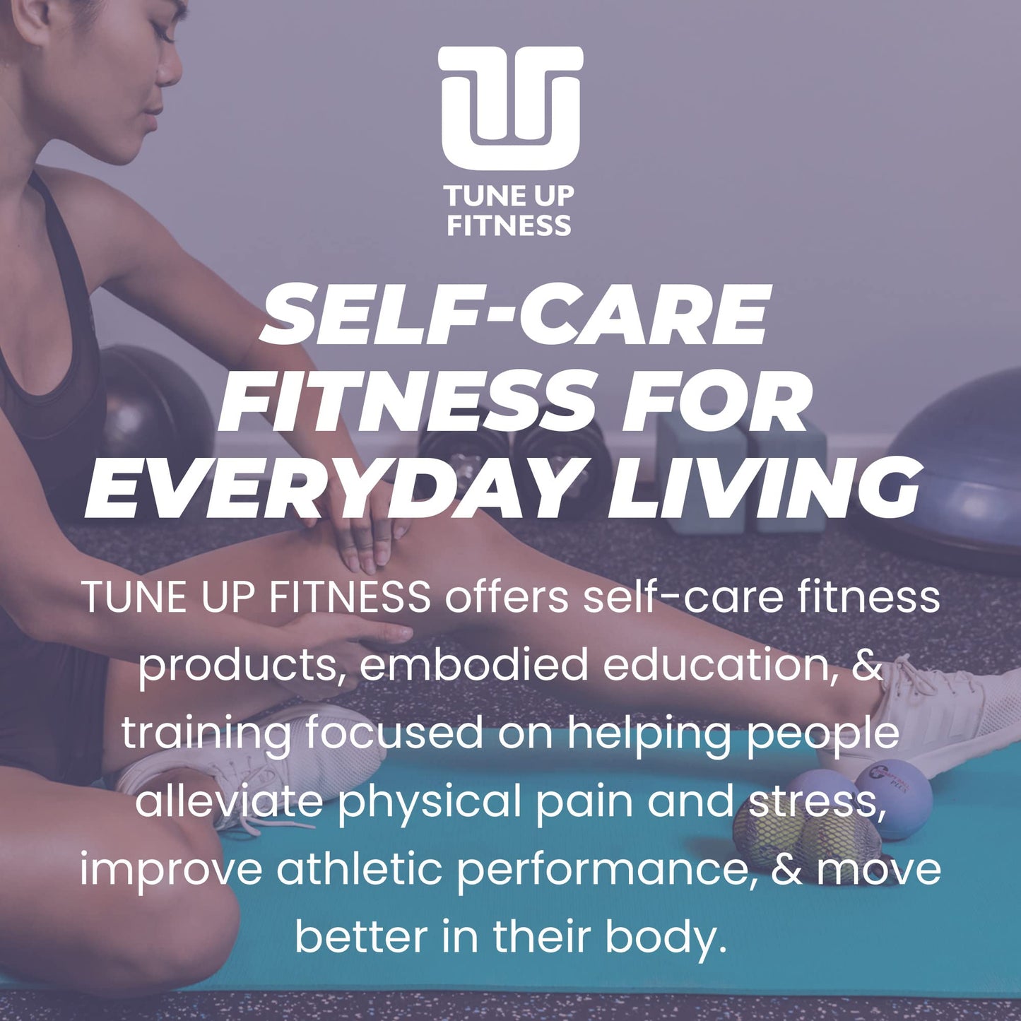 Therapy Balls in Tote by Tune Up Fitness - Massage Balls for Trigger Point